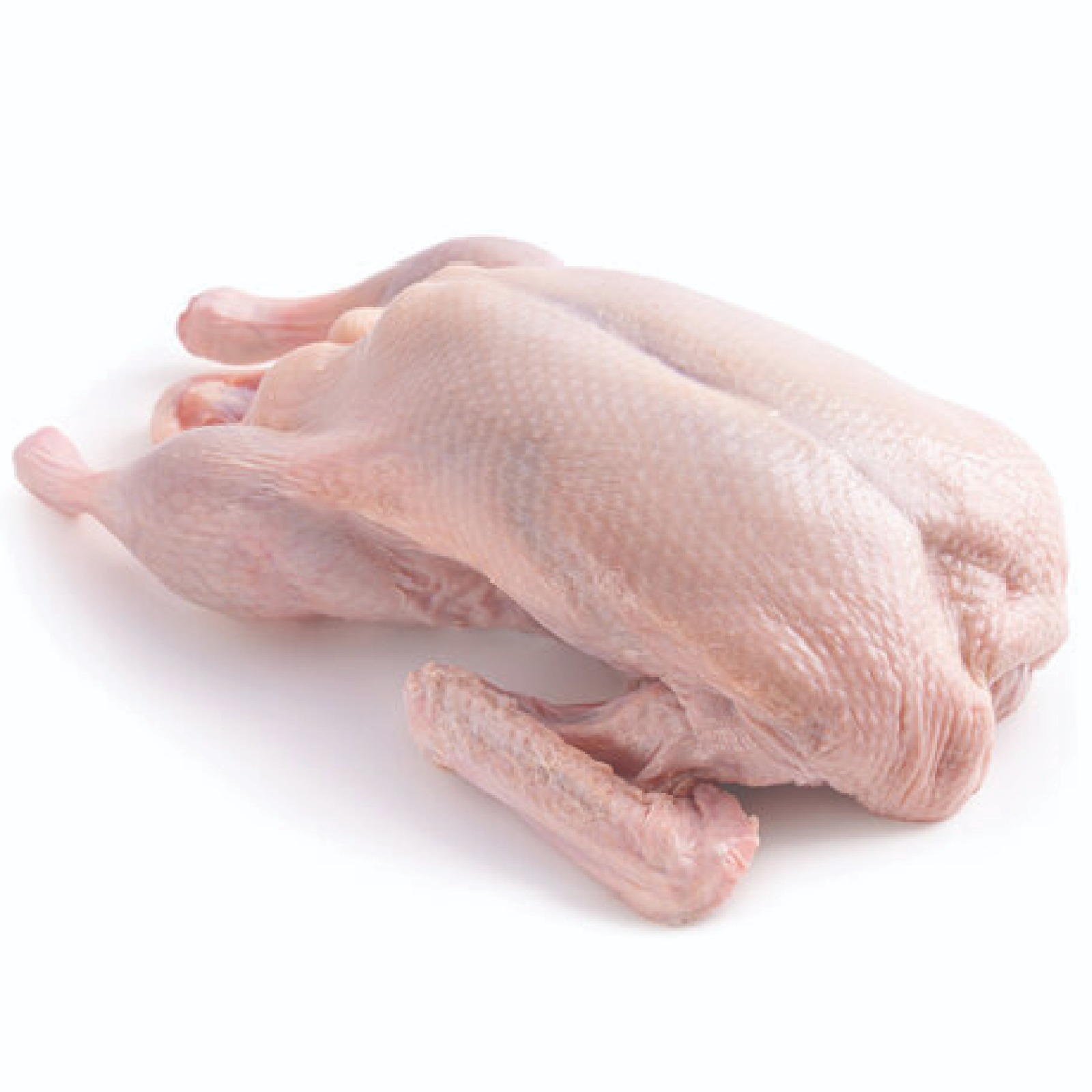 Special Duck